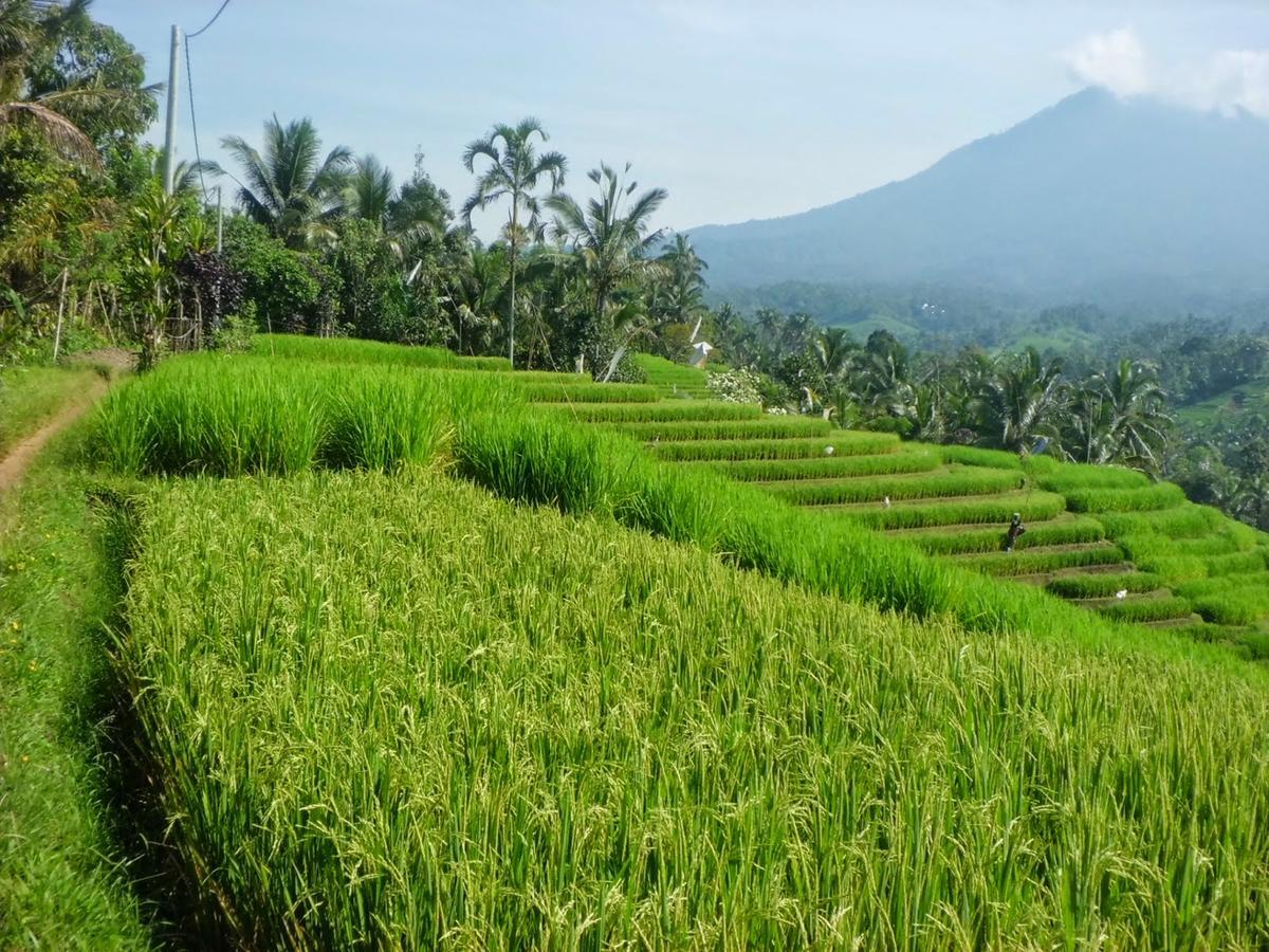 Zen Rooms Kuta Tuban Suites 外观 照片